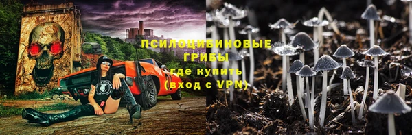 ALPHA PVP Богородск